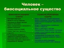 картина картина