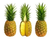 bromeliad стайни