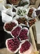 Квіти та декоративні рослини в Калузька область область