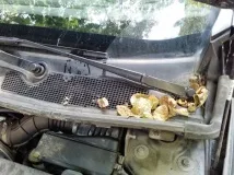 Чищення дренажу на прикладі Renault Fluence renault