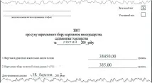 ревизирания доклад ревизирания доклад