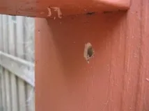 альтанки