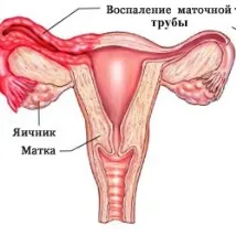 клиниката клиниката
