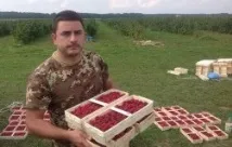 Якщо