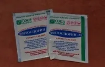 клей