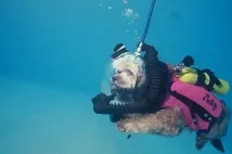 ЦЕЙ ДИВУВАЛЬНИЙ І незбагненний ДАЙВІНГ - WaterWorld, Водний світ - інтернет журнал дайвінг
