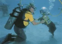 ЦЕЙ ДИВУВАЛЬНИЙ І незбагненний ДАЙВІНГ - WaterWorld, Водний світ - інтернет журнал дивувальний