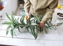 отрежете отрежете