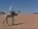 репортер
