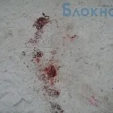 михаил убийството