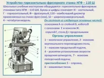 фрезови видове