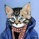 котка котка направете