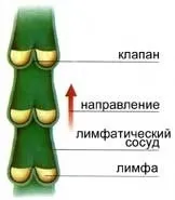 ankhara ankhara