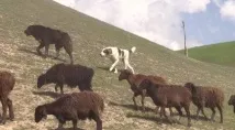 утримання