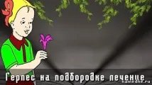 Герпес на підборідді лікування - Шкірні захворювання - Лікування хвороб - Народні рецепти - NAMEDNE лікування