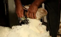 особливості