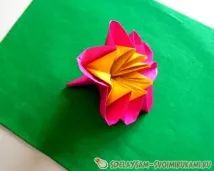Гвоздика з кольорового паперу, Майстер-клас своїми руками паперу