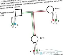 преглед преглед