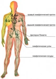лимфната гимнастика