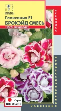 бъде по-ниска глоксиния