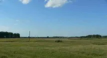 рідного