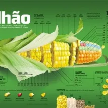 олга инфографични