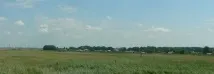 плям