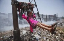 Як Індія бореться зі сміттям, Статті про екологію та вегетаріанство статті
