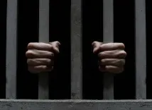 Які звуки можуть звести людину з розуму звуки