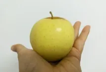 обратно ядете
