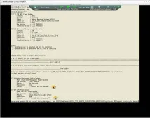 Як оновити вручну біос (firmware) на блейдах (серверах) IBM, Налаштування серверів windows і linux вручну
