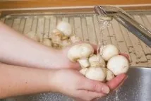 зимата зимата