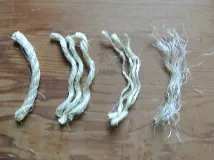 елхи ярки