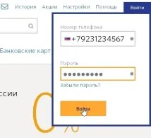 Як створити ківі гаманець, його переваги та нюанси ківі