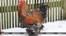 задобрити