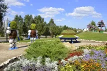 Як у Самарі на газонах роблять квіткові композиції та фігури цікаві факти про зеленгосп самарі
