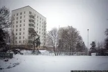 шведските семейства