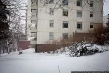 семейства хората