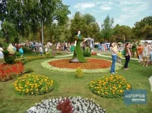 Як у Самарі на газонах роблять квіткові композиції та фігури цікаві факти про зеленгосп газонах