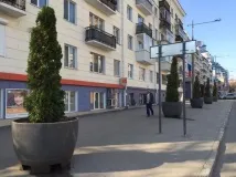 Як у Самарі на газонах роблять квіткові композиції та фігури цікаві факти про зеленгосп роблять