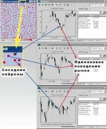 Карти Кохонена карти