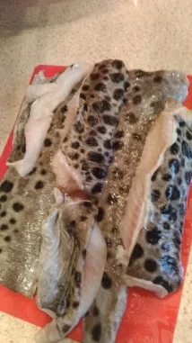 салат