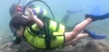 Краса підводного світу, мій сайт сайт