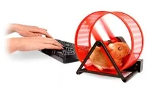 Контроль за використанням зовнішніх USB-накопичувачів у Windows Server 2008 використанням