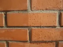 фарба