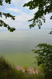халяві