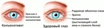 своєчасне