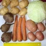 Лікування дітей народними засобами, Секрети народної медицини секрети