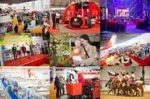 КВЦ - Сокільники, Павільйони для проведення заходів проведення