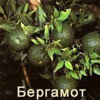 Лікарські форми форми